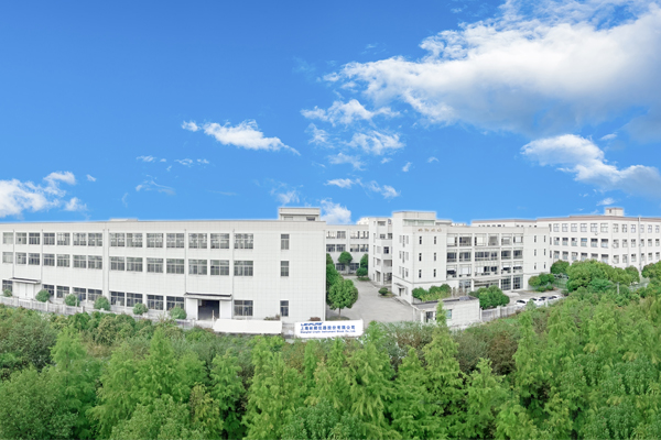 攜手同心、行而不輟，奔赴美好的2024